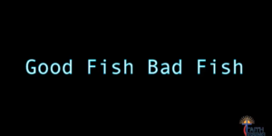 Good Fish Bad Fish